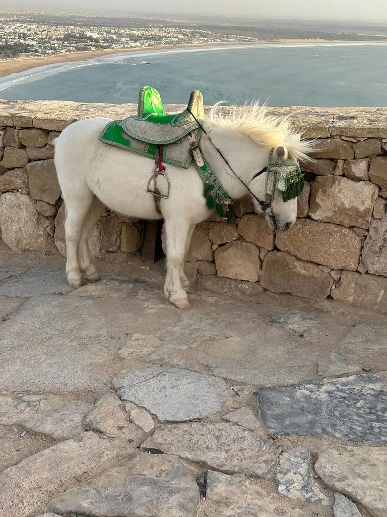 Local cuisine in Agadir