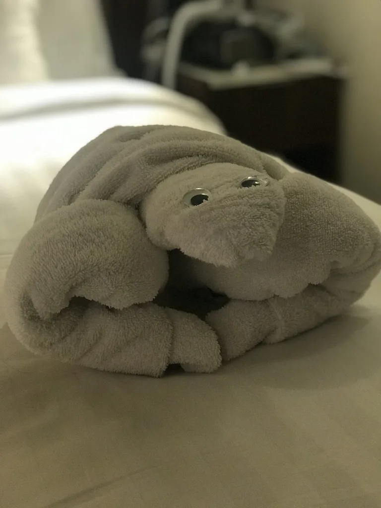 Local cuisine in Amber Cove