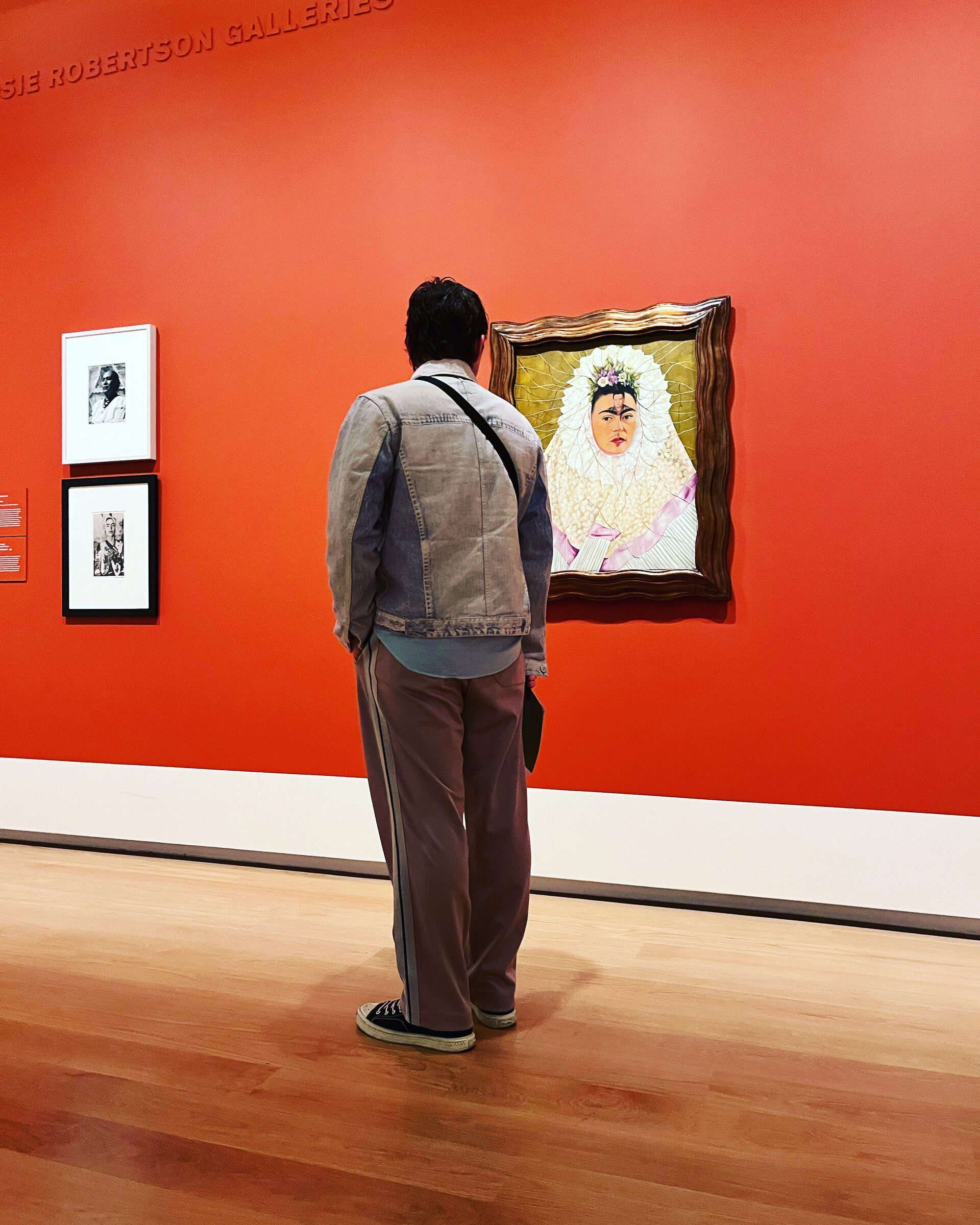 Auckland skyline with Sky Tower rising above Waitemata Harbour filled with sailboats