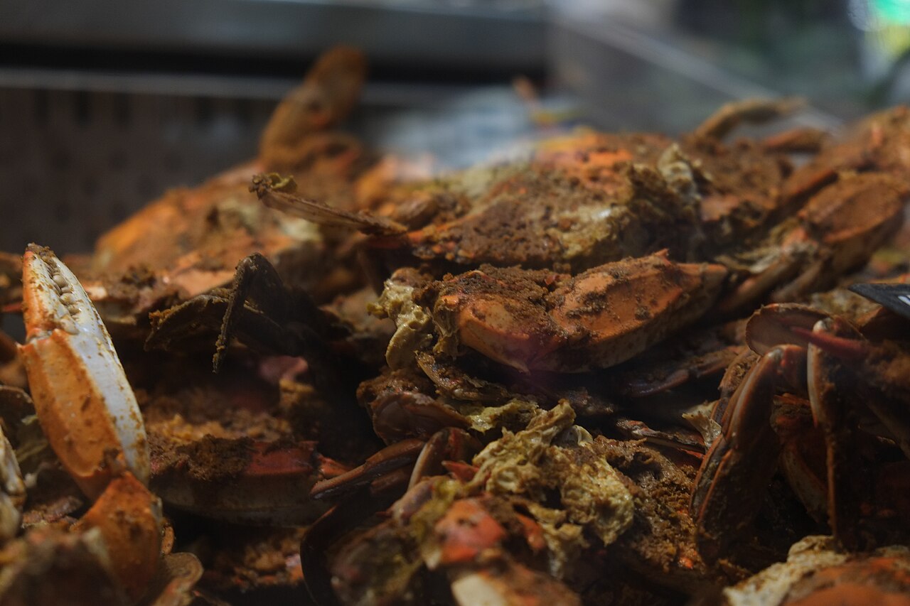 Wooden table covered with steamed Maryland blue crabs and Old Bay seasoning containers