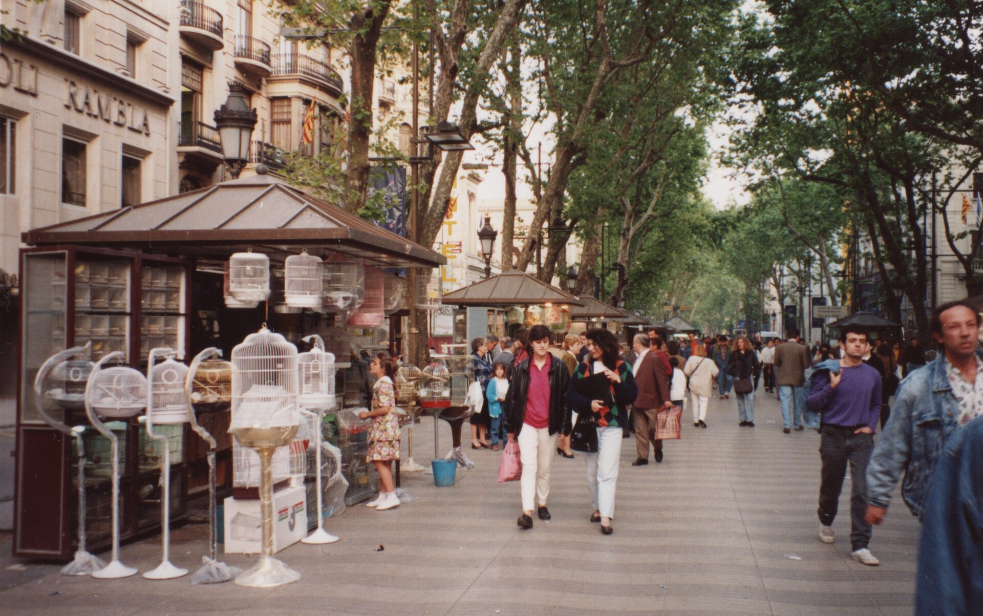 La Sagrada Familia's towering spires reaching toward the sky with intricate stone carvings covering every surface