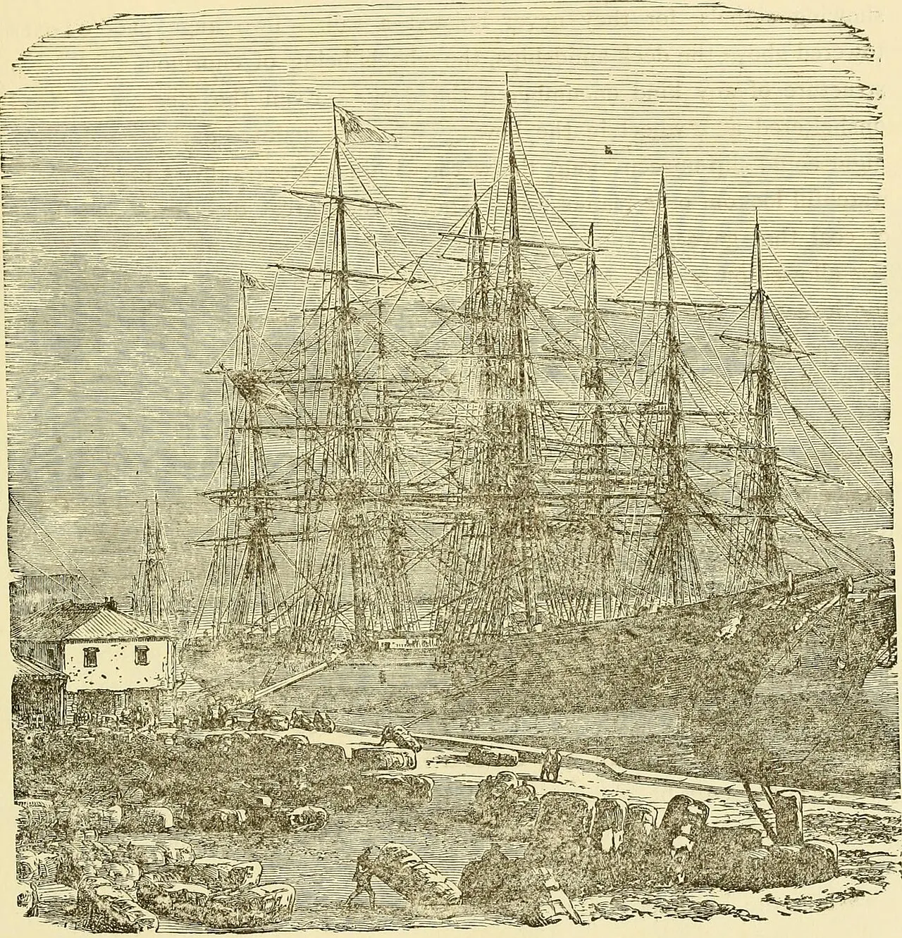 Coastal landscape of Boston, Massachusetts