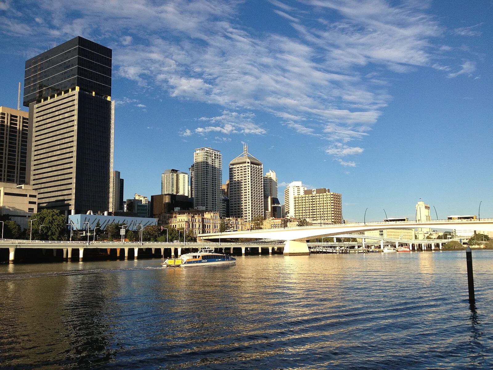 Purple jacaranda trees blooming along Brisbane riverbank in spring