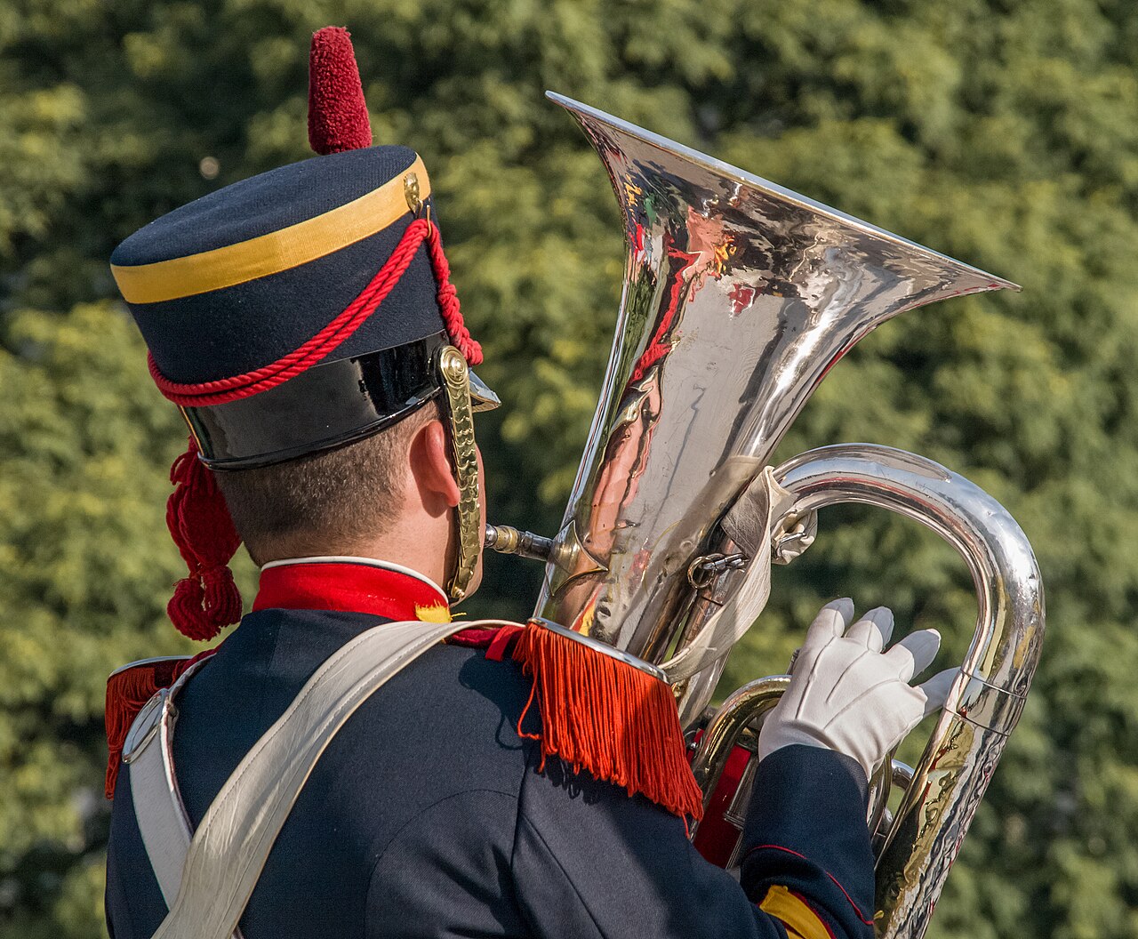 Argentine military band musician in ceremonial uniform with tuba
