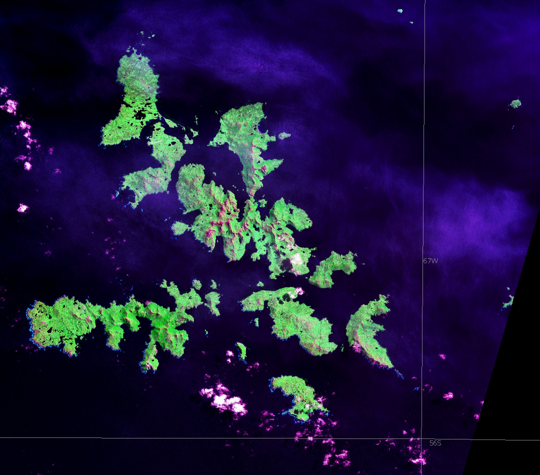 False-color satellite image of the Cape Horn archipelago showing the Wollaston Islands