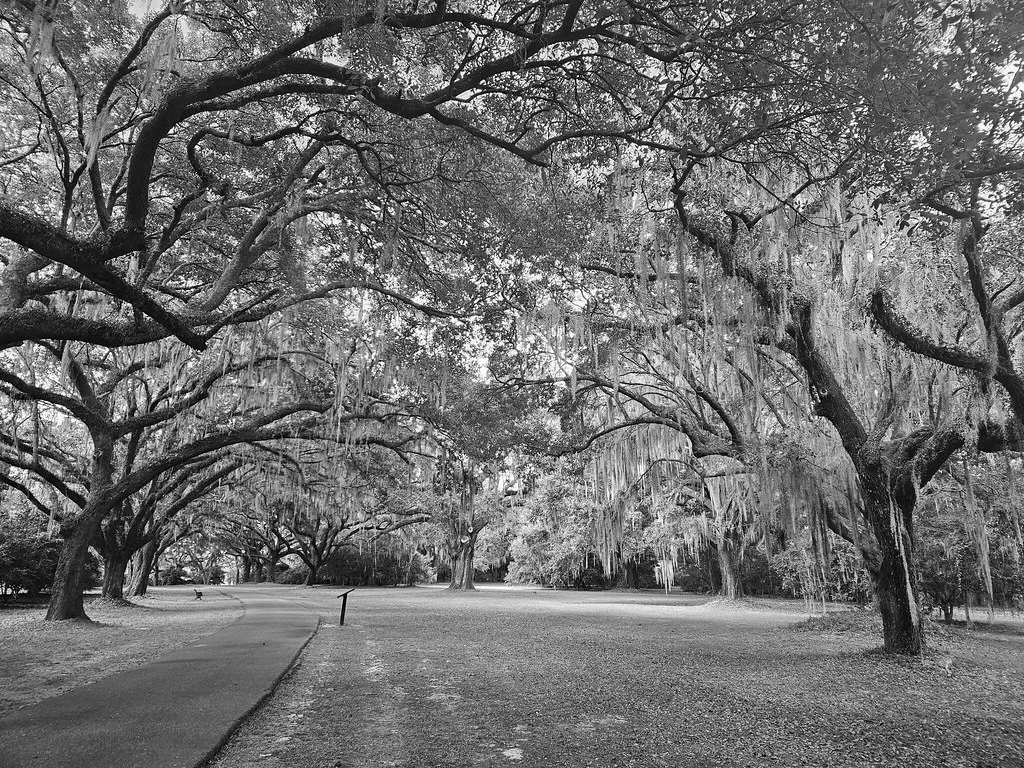 Charleston — view 5