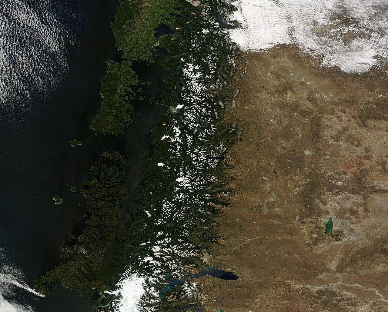 Sea lions resting on rocks along the Chilean fjord coastline
