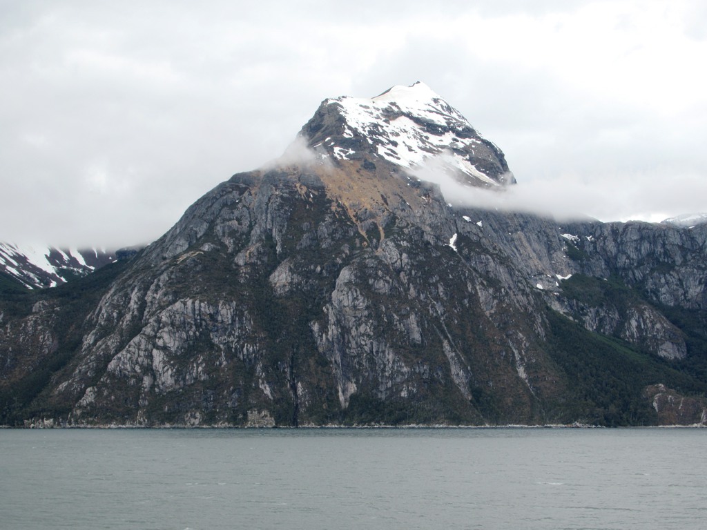 Dense temperate rainforest clinging to vertical cliffs