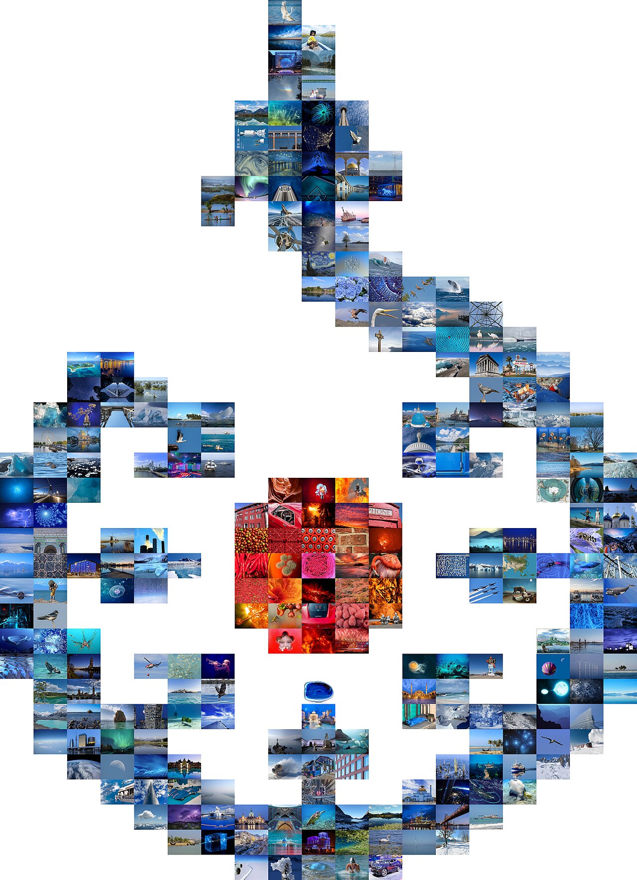 Andean condor soaring above the Chilean fjords