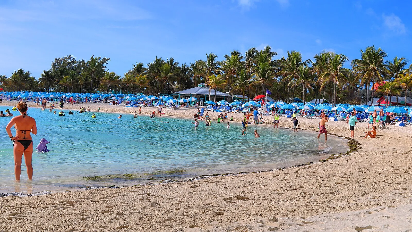 CocoCay tropical beach scene with palm trees and turquoise water