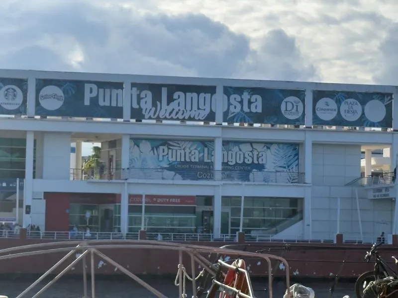 Palm trees and tropical vegetation at Costa Maya cruise port