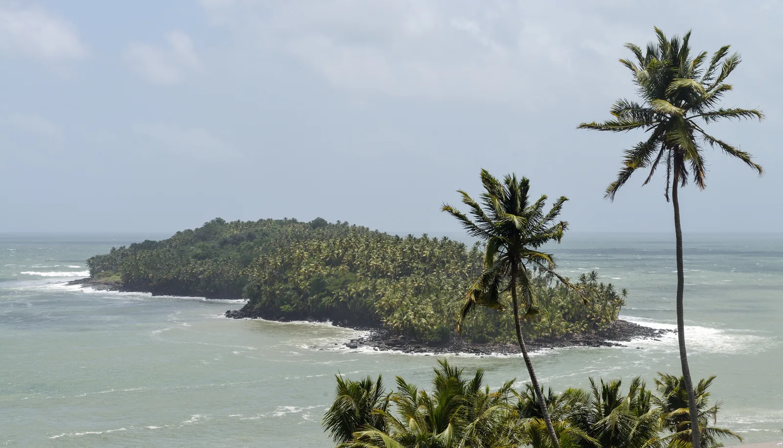 Île du Diable seen low and palm-covered across the channel from Île Royale, framed by palm trunks, with open Atlantic beyond