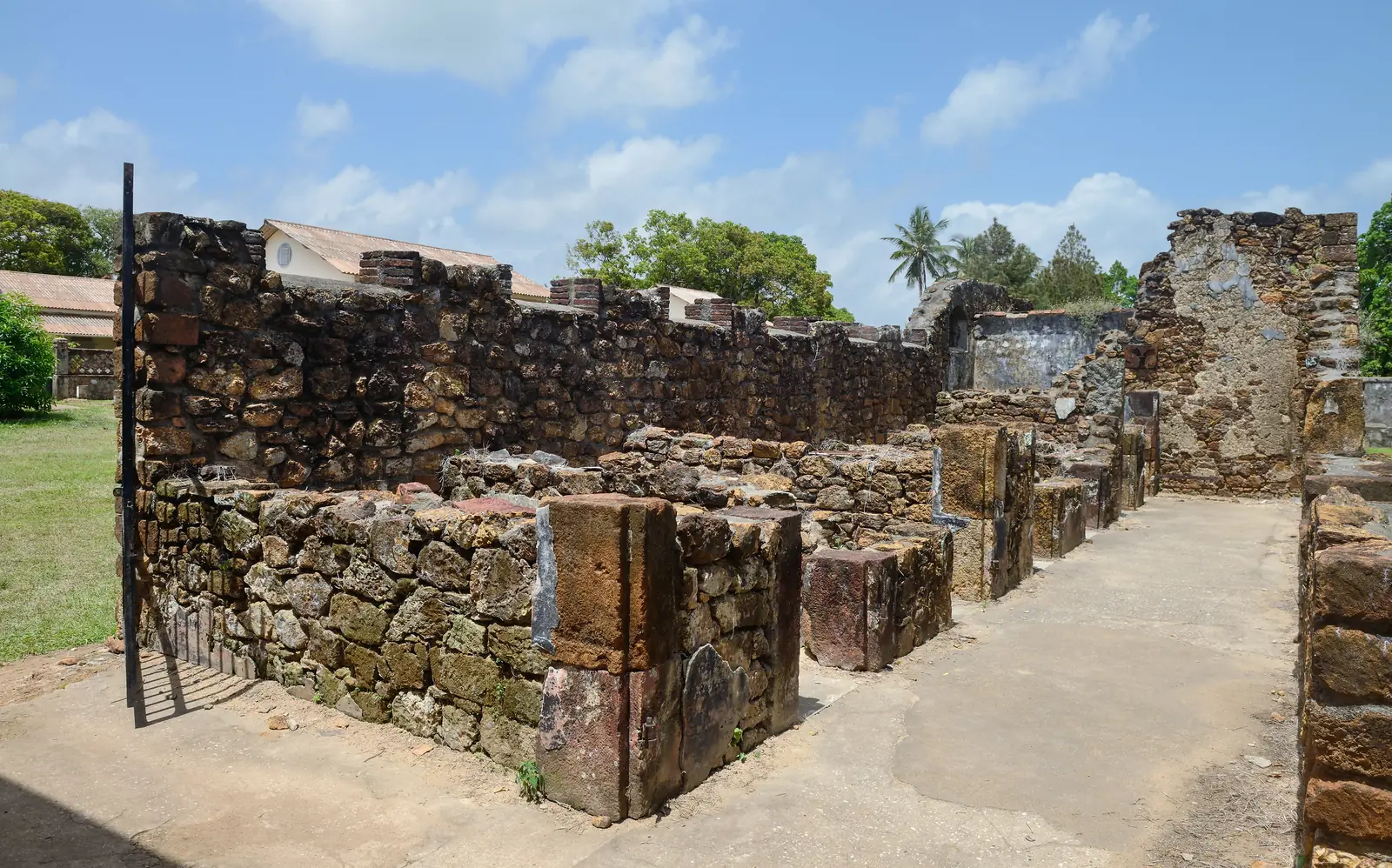 Ruins of the prisoners' cells on Île Royale, roofless stone walls with vegetation growing through them
