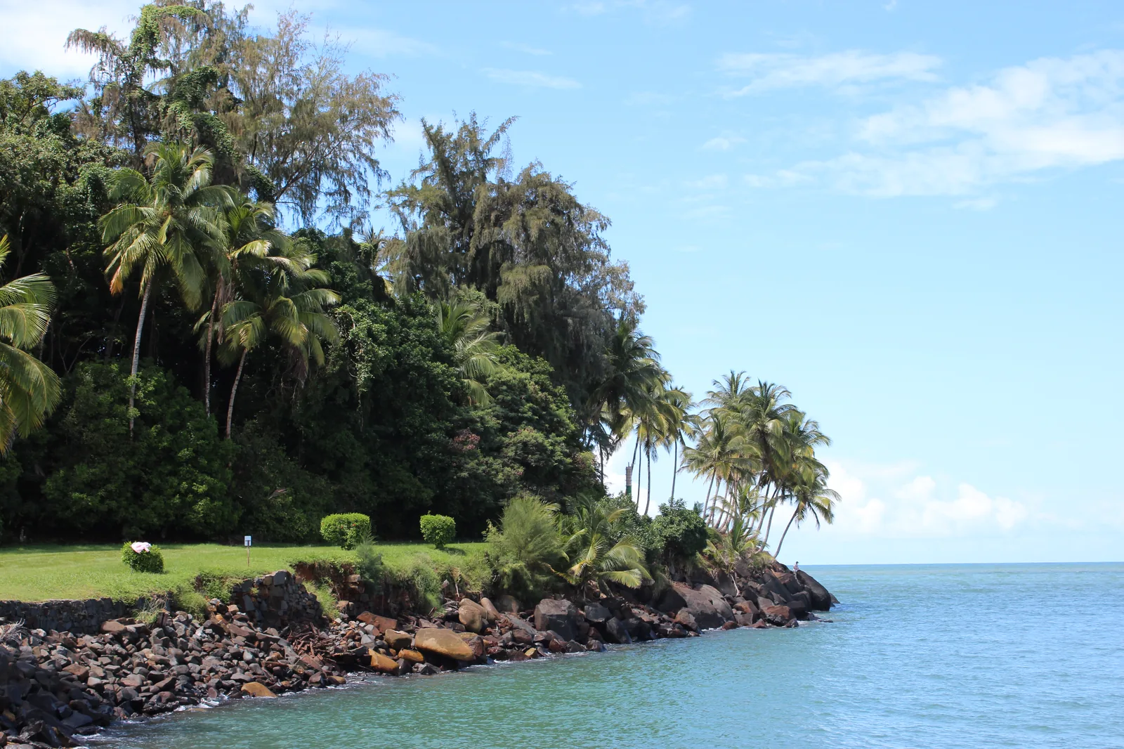 The rocky, palm-covered shoreline of Île Royale with the ring path running along it
