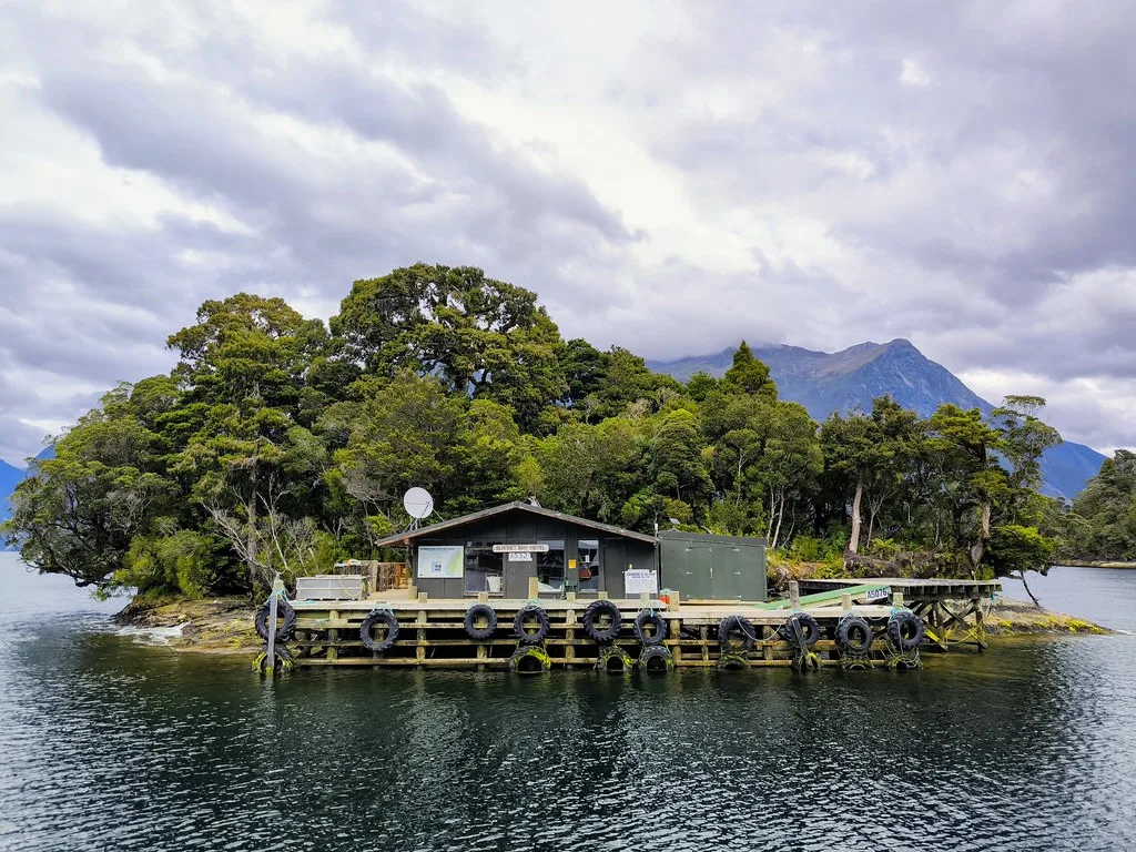 Deep Cove at the head of Doubtful Sound surrounded by steep forested mountains