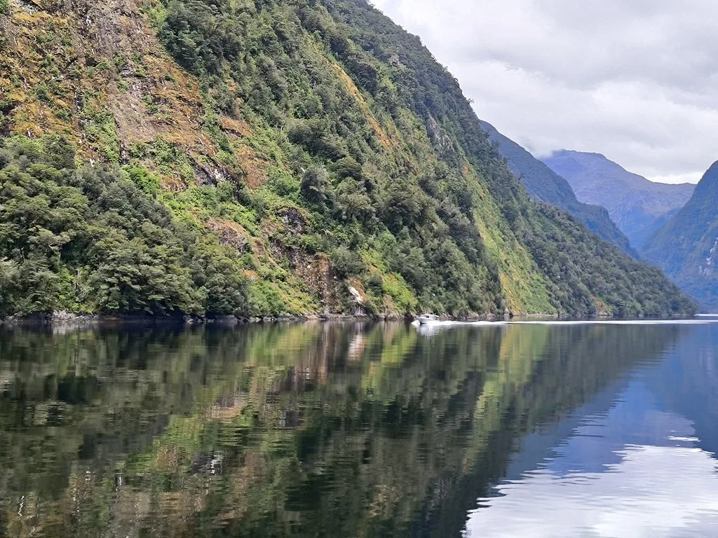 Mist-shrouded peaks of Doubtful Sound rising from dark fjord waters with waterfalls cascading down granite cliffs