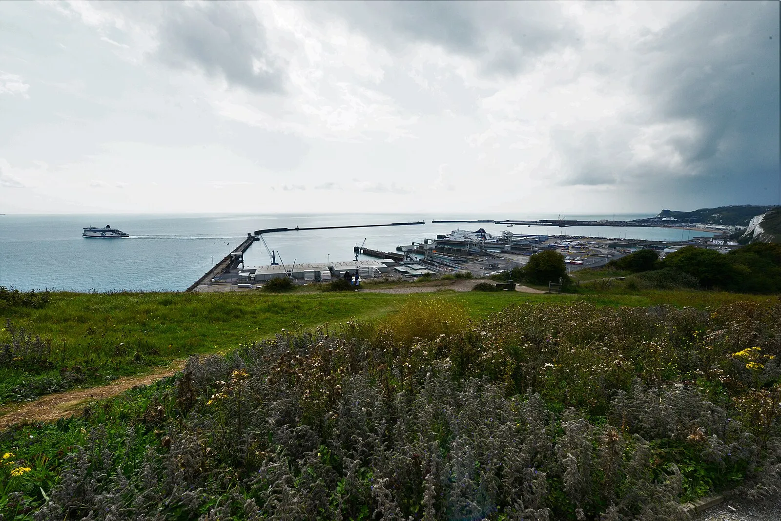 Panoramic view of Dover harbor from the White Cliffs with ferry at breakwater and wildflowers in foreground