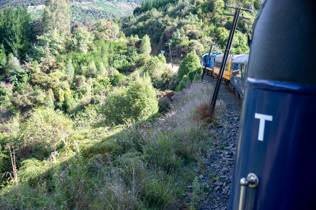 Local cuisine in Dunedin