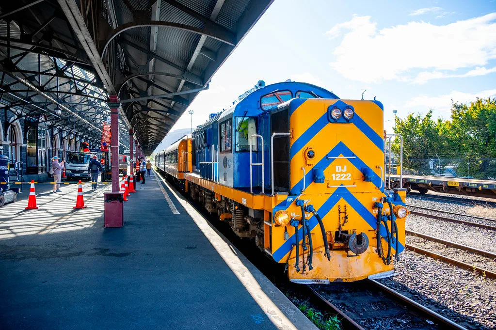 Panoramic view of Dunedin