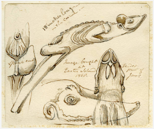 1868 watercolor sketch of a carved moai kavakava figure with handwritten anatomical notes from Easter Island