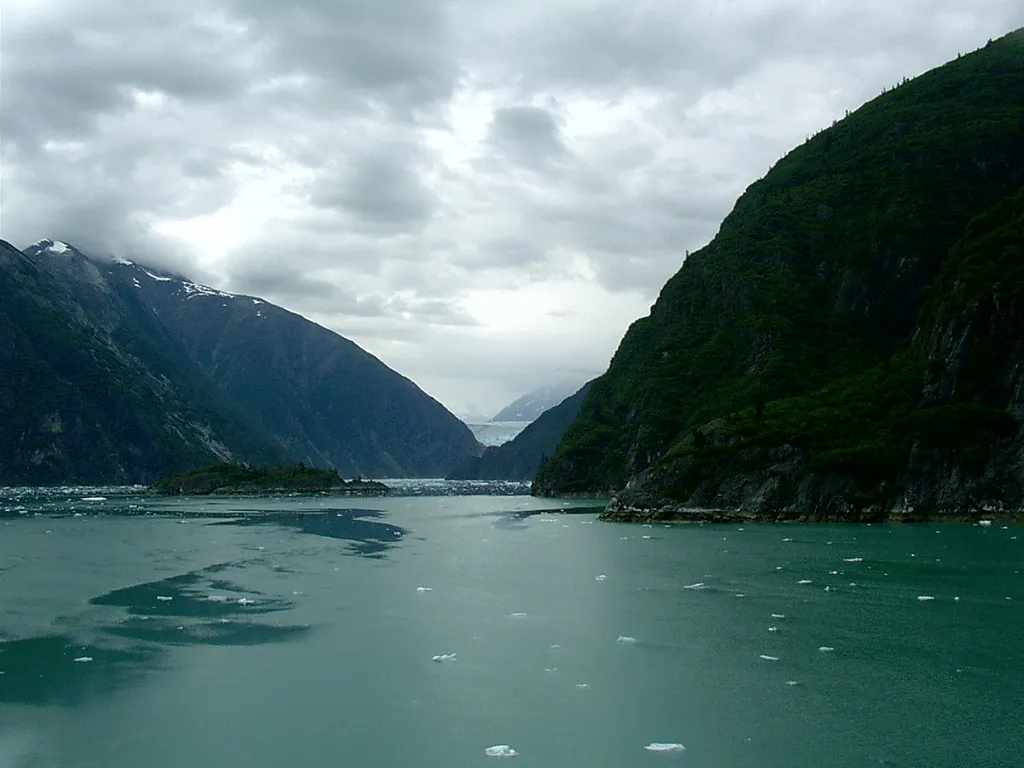 Iceberg field with various blue and white formations