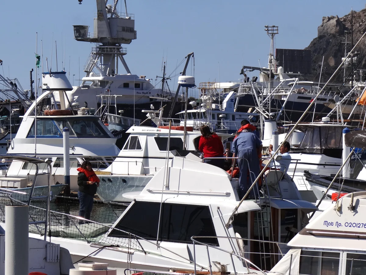 Colorful fishing boats moored in calm harbor waters reflecting morning light in Ensenada