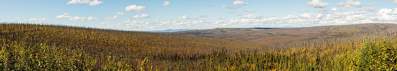 Landscape southeast of Fairbanks, Alaska with boreal forest, river, and mountains in late summer