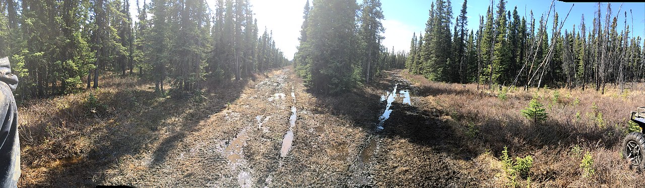 Panorama of downtown Fairbanks, Alaska with buildings, roads, and boreal forest stretching to the horizon under summer sky