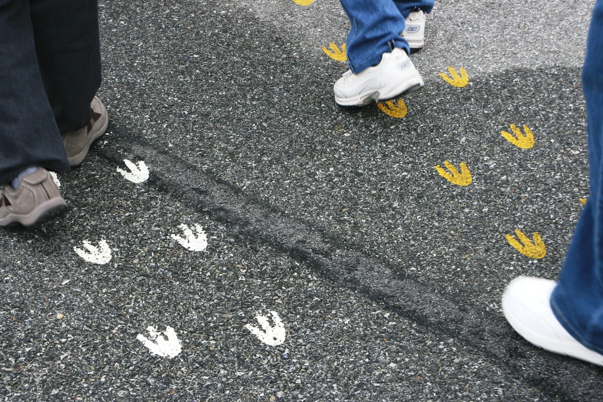 Stanley town view with colorful rooftops and waterfront buildings along harbor