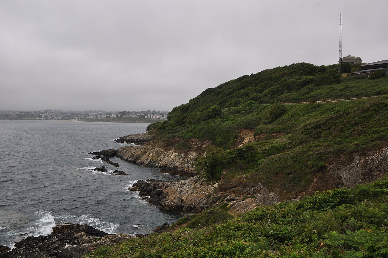 Jamaica north coast with turquoise Caribbean water and palm trees