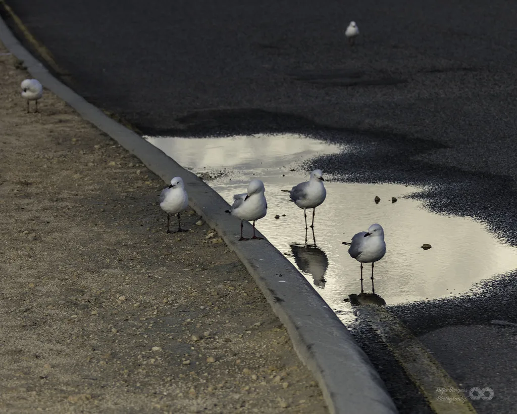 The Round House colonial building overlooking the Indian Ocean