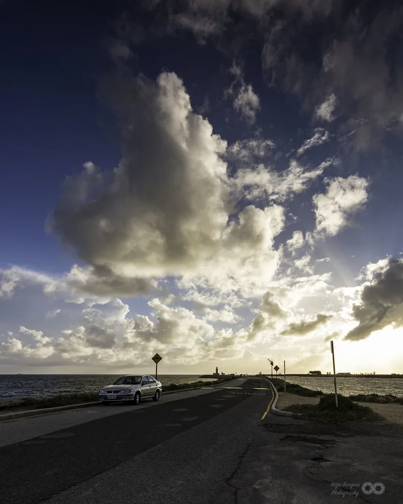 Fresh fish and chips served at Fishing Boat Harbour