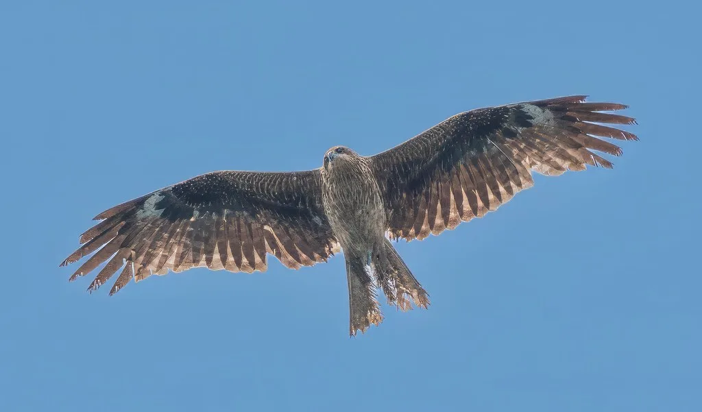 Fukuoka popular attraction