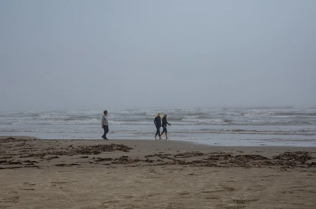Galveston Harbor with cruise terminal and cargo facilities along the Texas coast