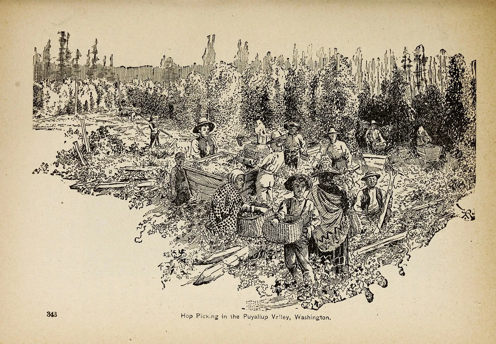 Lamplugh Glacier glowing blue in morning light