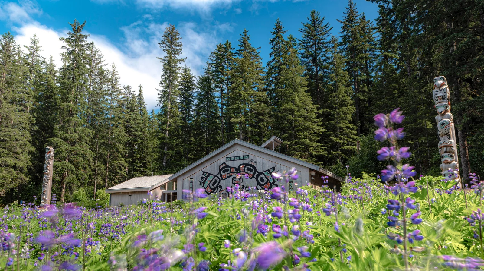 The Xunaa Shuká Hít Huna Ancestors' House with purple lupine flowers filling the foreground