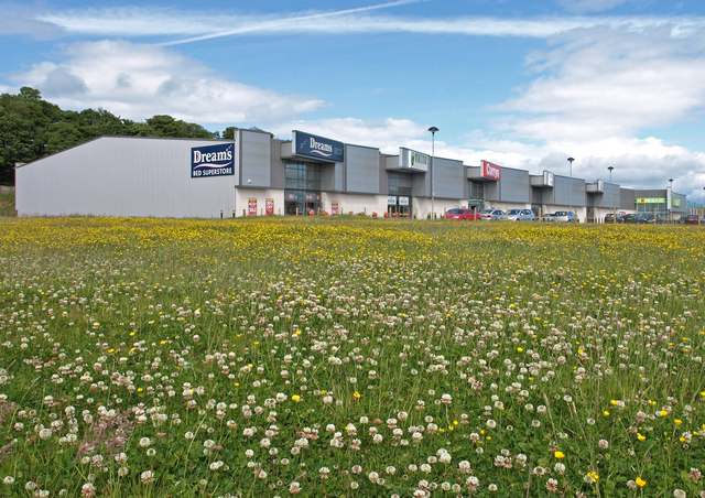 Green field with wildflowers near Glasgow with urban skyline in the distance