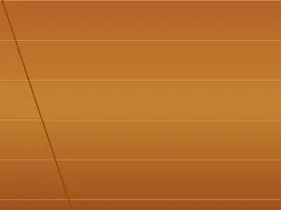 Lush green spice plantation with cardamom, pepper vines, and cinnamon trees growing under tropical canopy