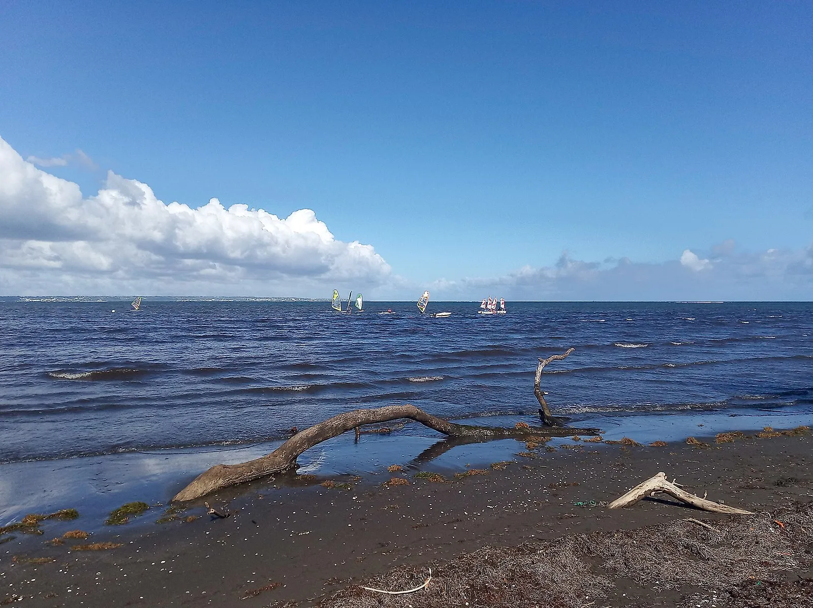 Dark volcanic sand beach with windsurfers off Guadeloupe coast
