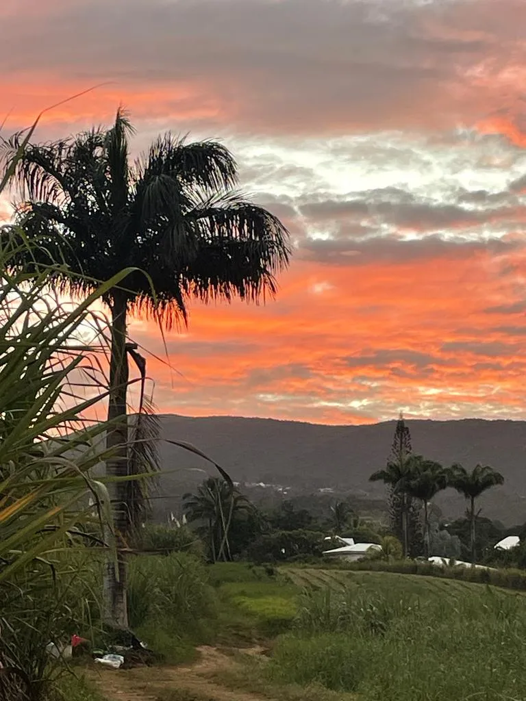 Tropical sunset over sugarcane fields and hills in Guadeloupe