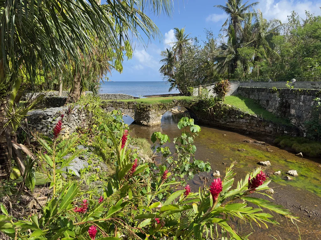 Traditional Chamorro kelaguen dish served with red rice on a ceramic plate