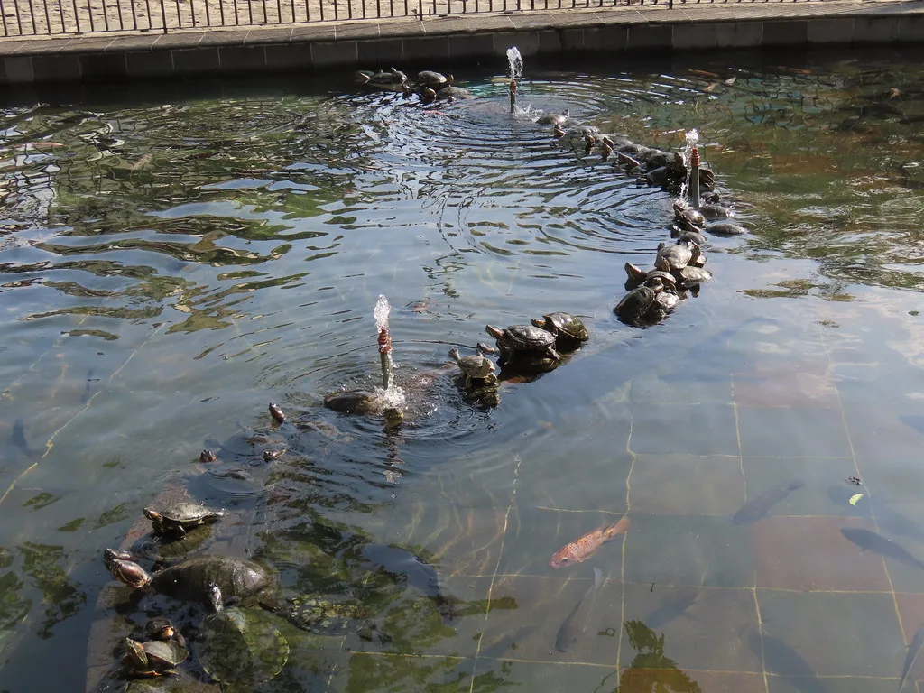 Local cuisine in Guayaquil