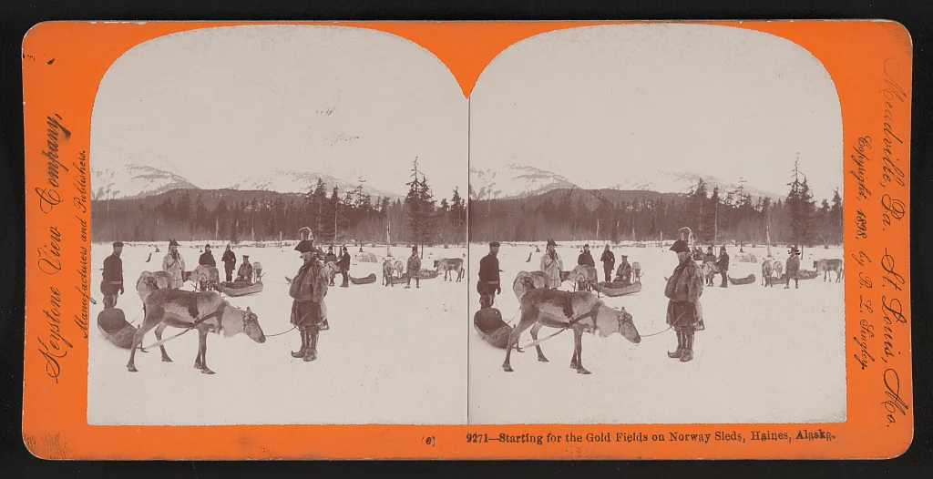 1898 stereograph of Klondike gold prospectors with Norway sleds at Haines Mission