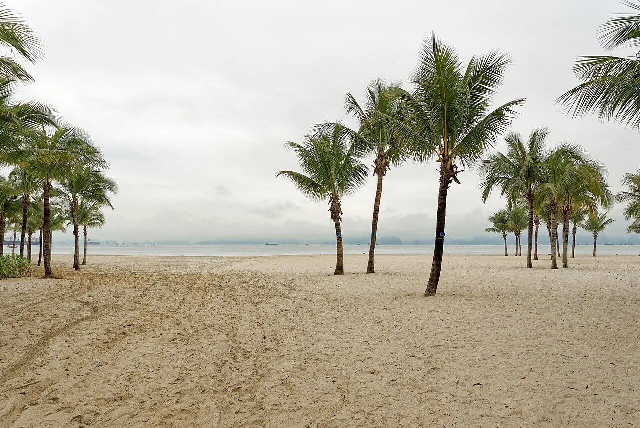 Palm-lined beach with misty Ha Long Bay karsts in the background