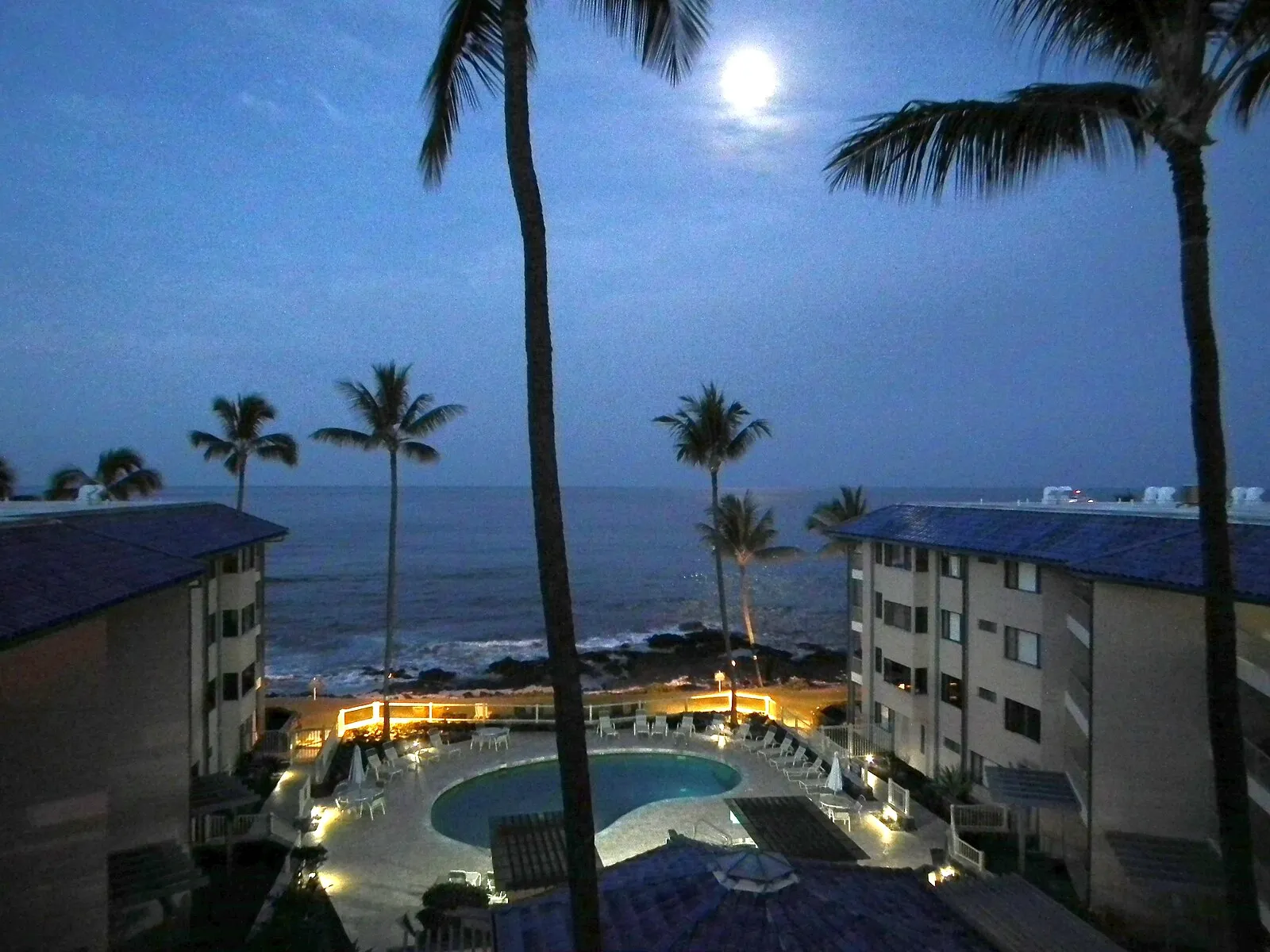 Moonlit oceanfront resort pool on the Big Island with palm trees and rocky shoreline