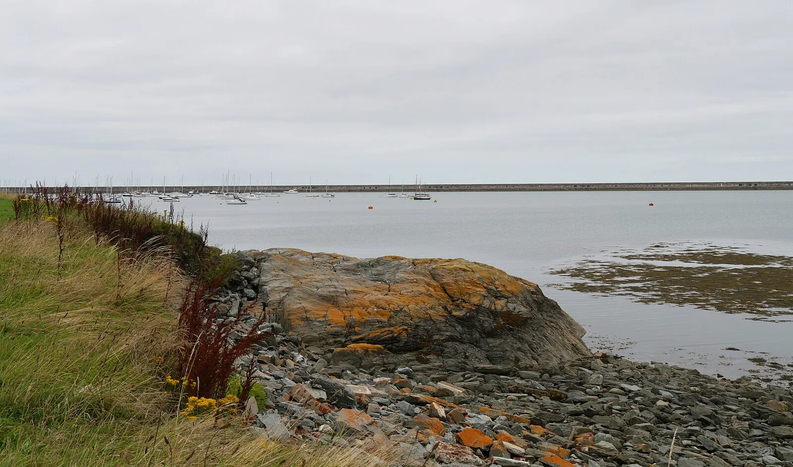 Holyhead harbour from the rocky coastline with breakwater, marina, and orange lichen-covered rocks