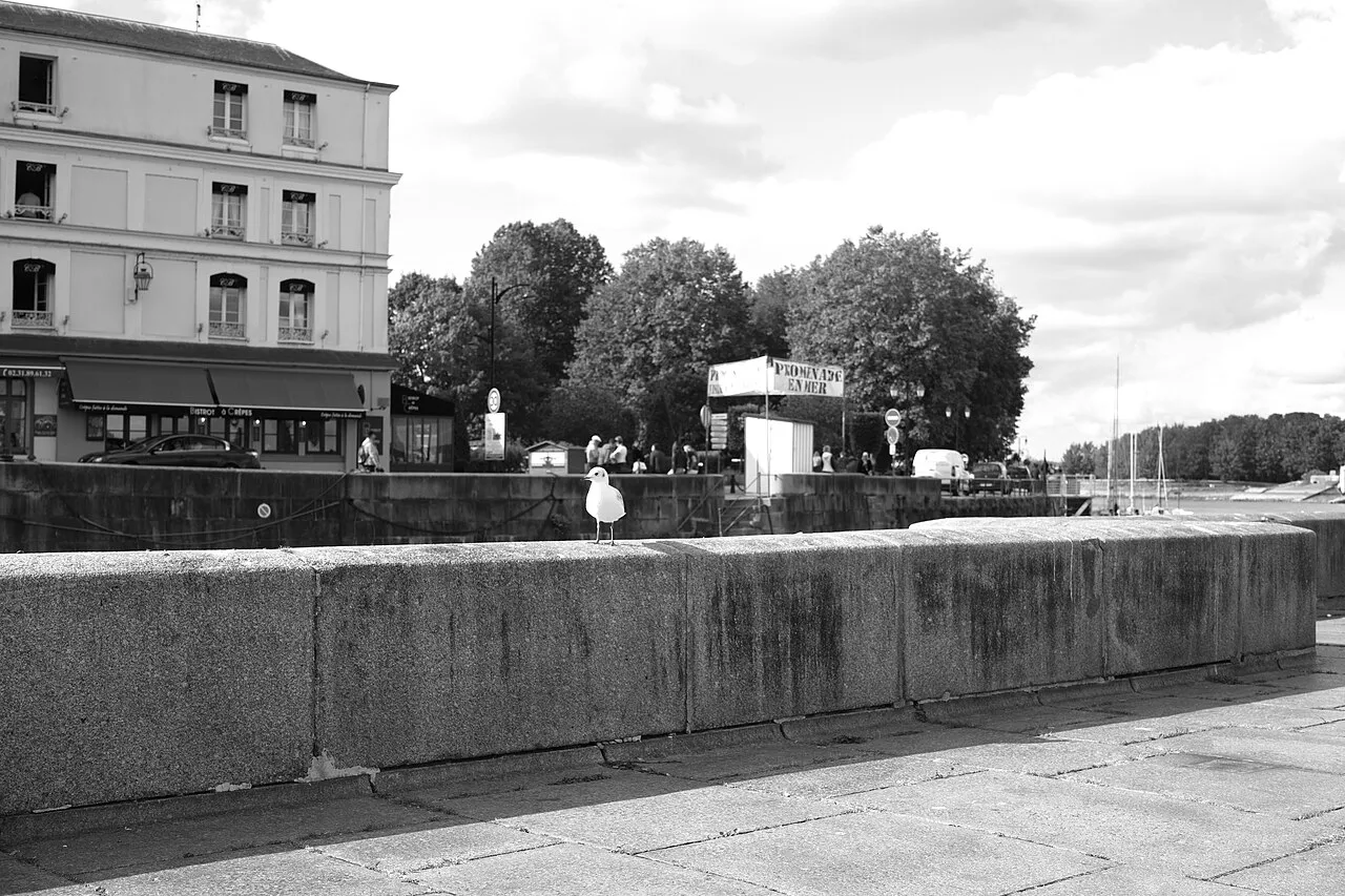 Coastal landscape of Honfleur, France
