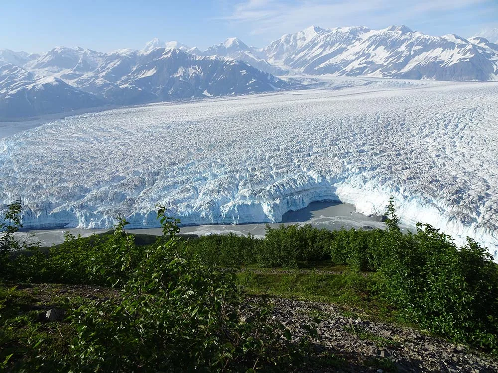 Hubbard Glacier from Gilbert Point with textured blue ice face and St. Elias peaks behind