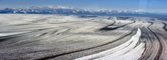 Aerial view of Malaspina Glacier showing curving dark medial moraines on a piedmont ice lobe