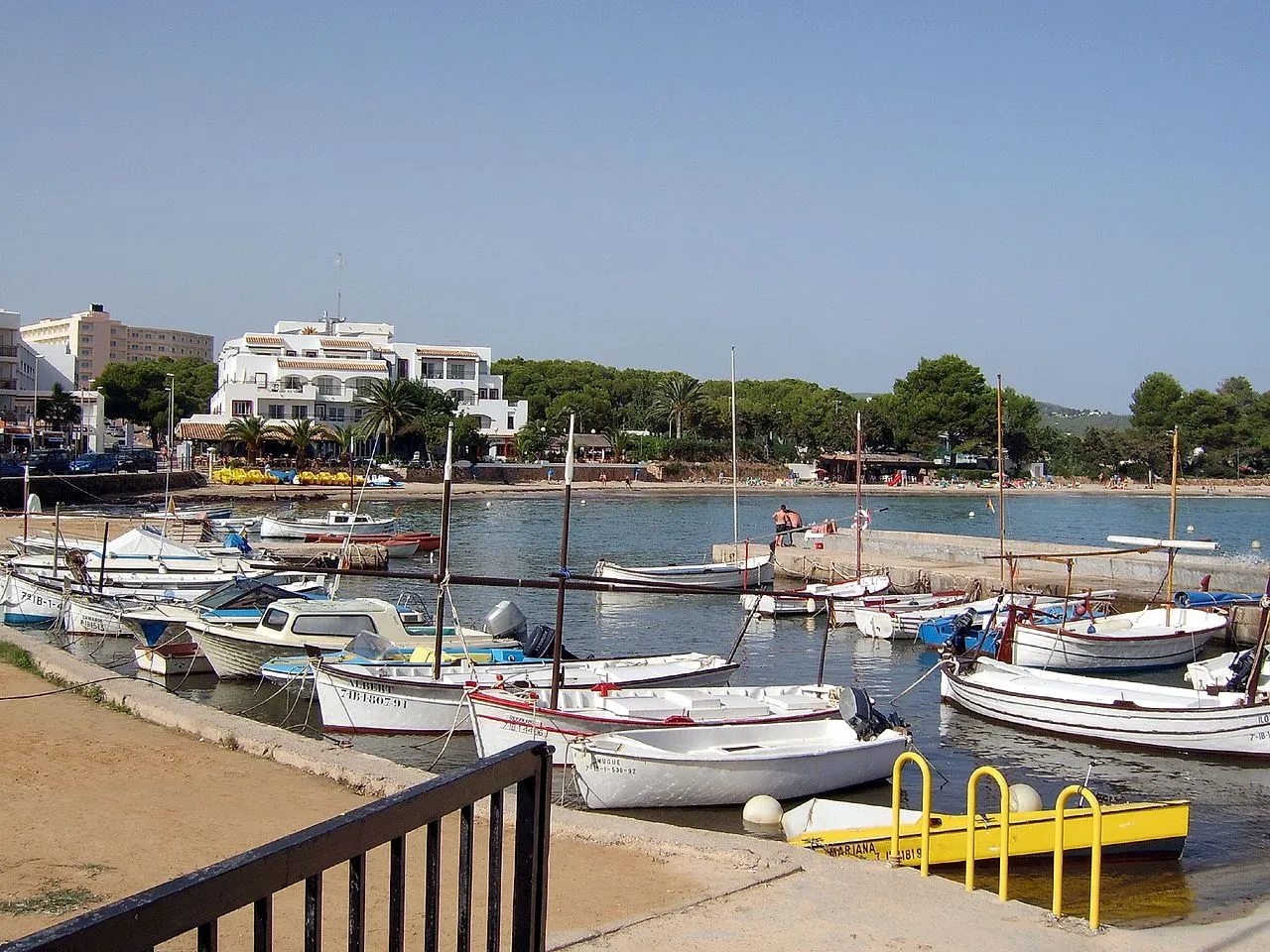 Ibiza panoramic view